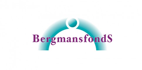 Bergmanfonds