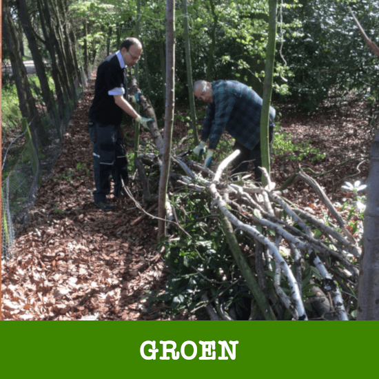 Groen